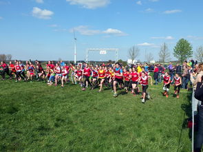 爱游戏体育app-青少年体育社交平台互动行为研究，青少年体育文化